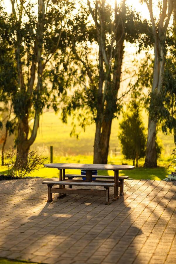 Villa Ocean & Mountain Views - Kaikoura Extérieur photo
